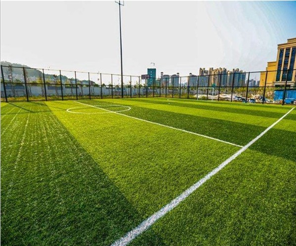 Artificial Grass